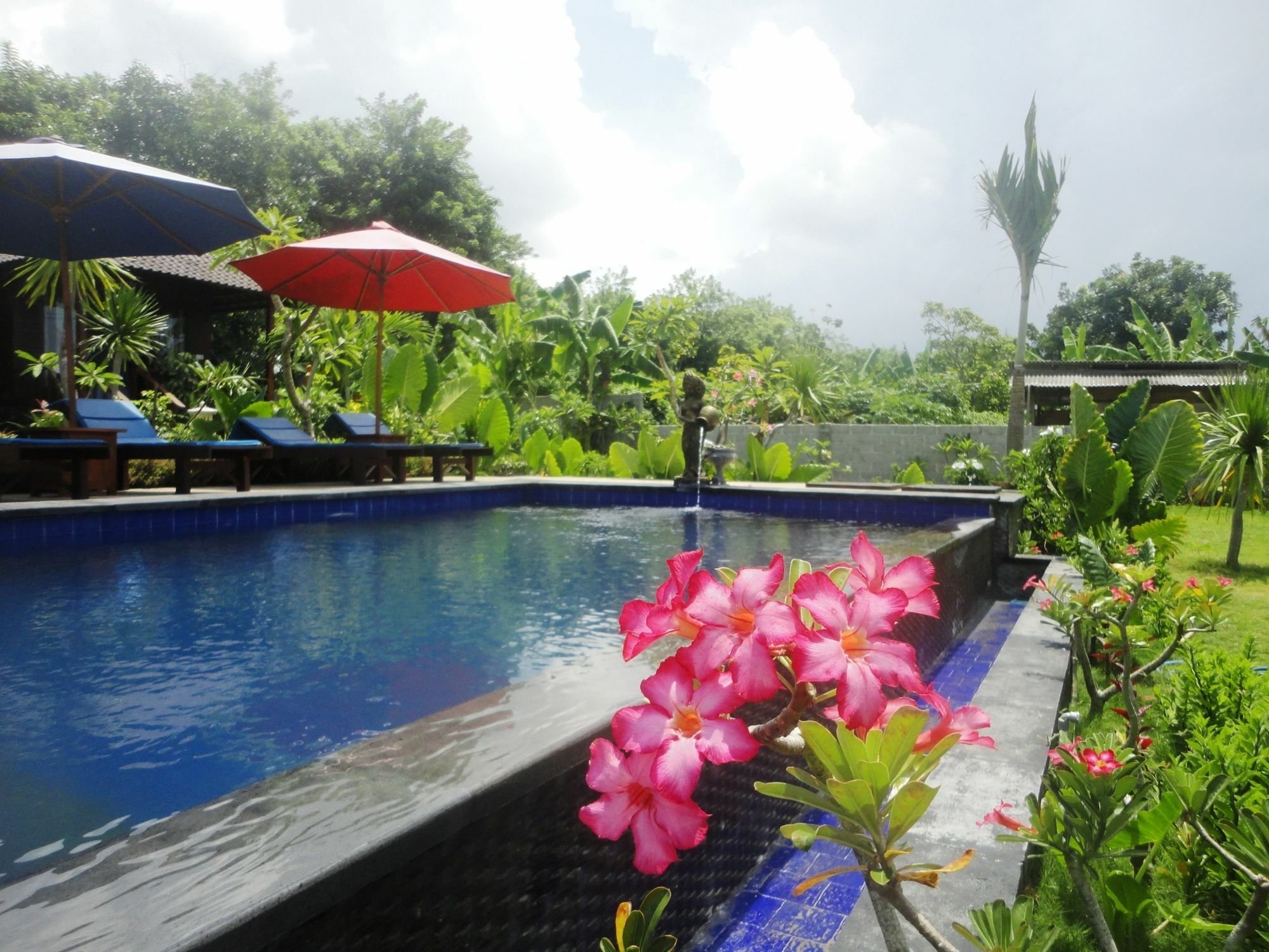 Dream Beach Berlian Lembongan Exterior foto