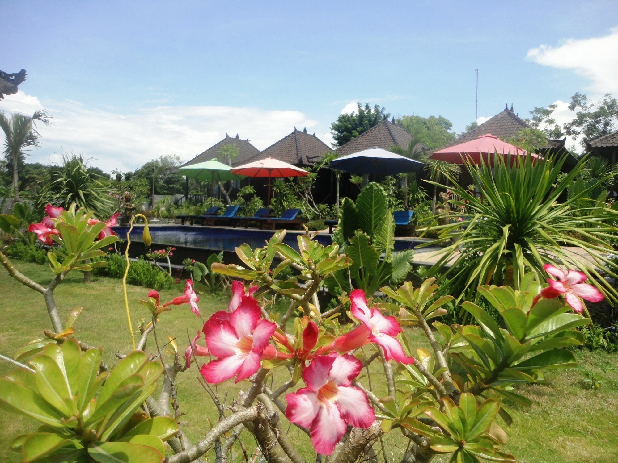 Dream Beach Berlian Lembongan Exterior foto